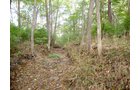Property photo 3 - 39+/- Acres Offered in 3 Tracts